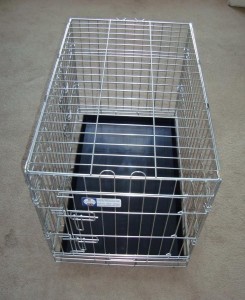 dog-health-crate