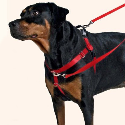 Freedom No-Pull Dog Harness - The Labrador Site
