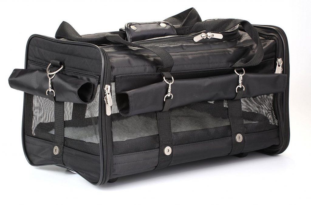 Best Dog Carriers For Labradors And Other Larger Breeds