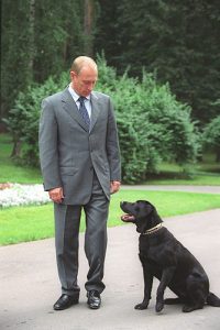 black Lab Konni pertencente ao presidente Putin da Rússia