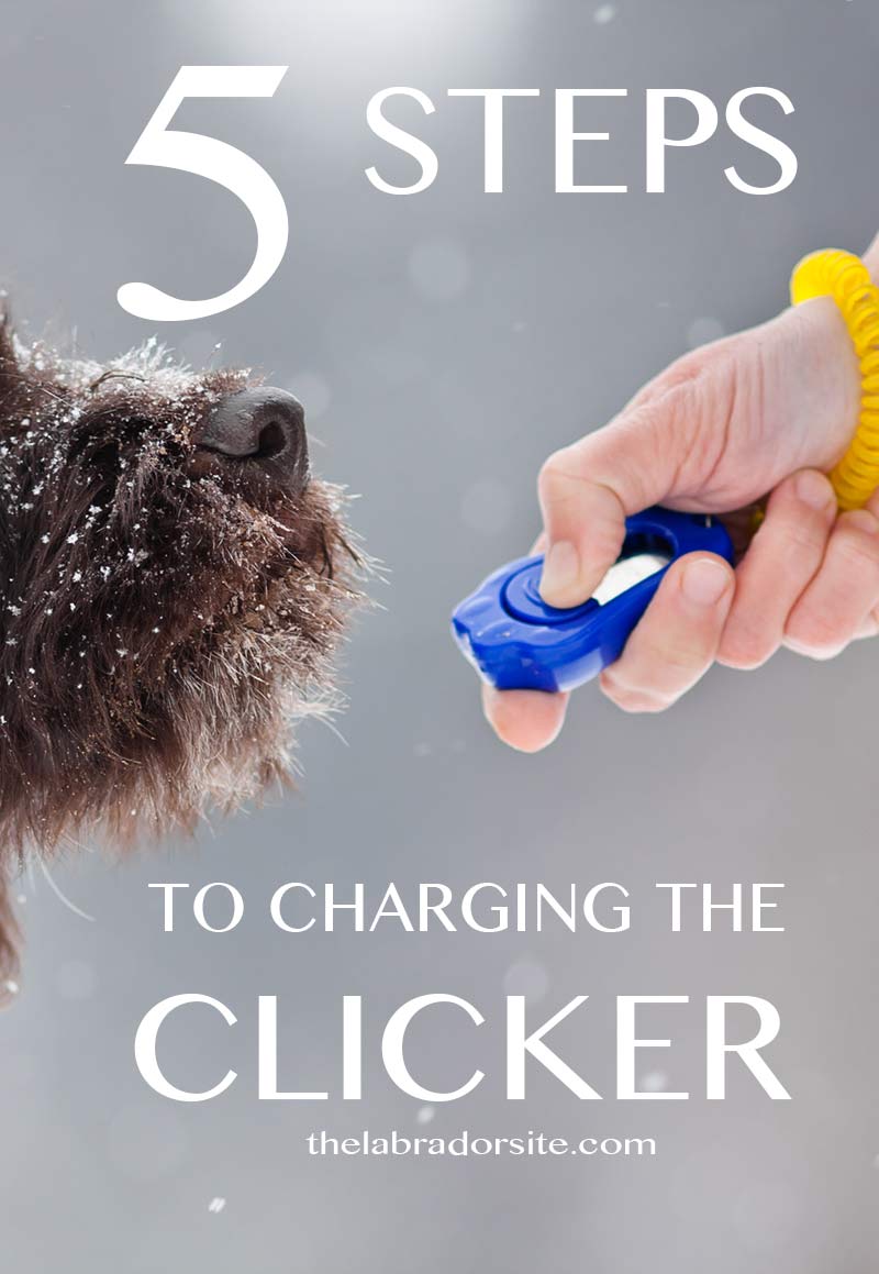 Charging the clicker doesn't take long. Follow our five easy steps to success