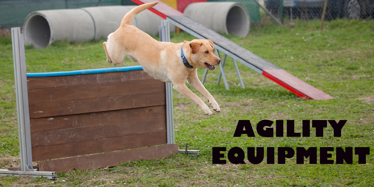 agility