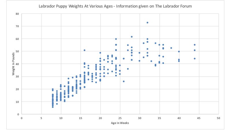 a labrador weight chart showing labrador weight by age