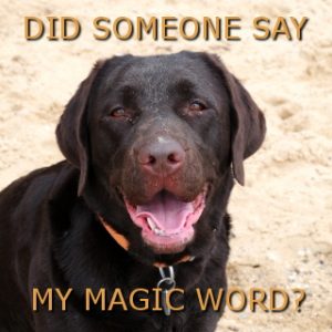 magic-wordFB