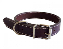 collars&leads