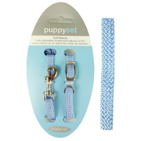 puppyset