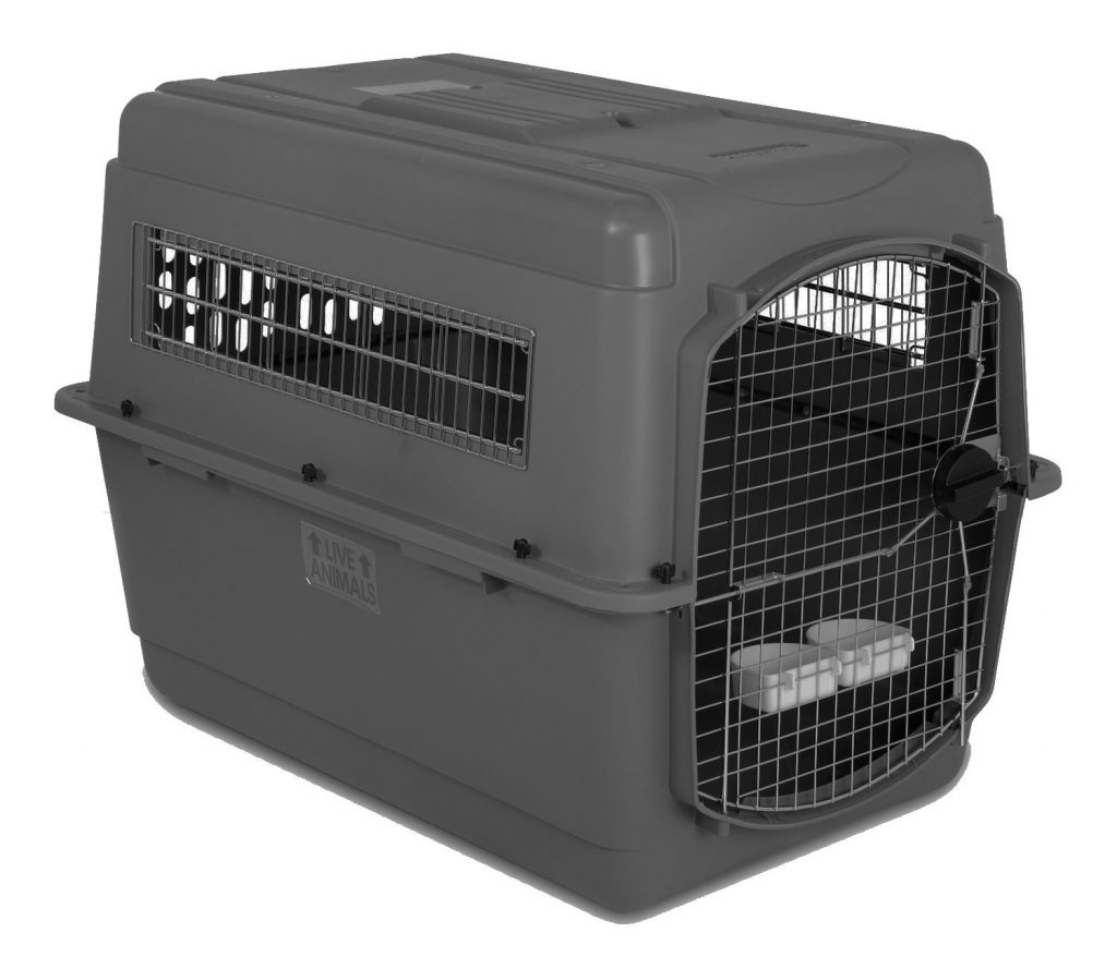 dog travel crate labrador