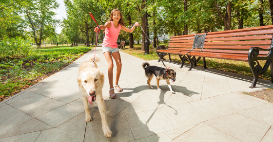 pulling puppy on leash