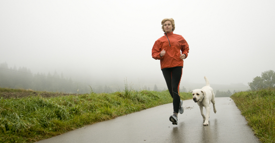 Running With Your Labrador - A Guide To Getting Fit Together