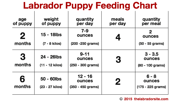 Puppy Feeding Chart By Weight