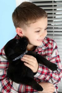 boy with a black labrador puppy