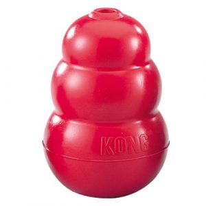 A kong to chew will keep your dog happy for a while