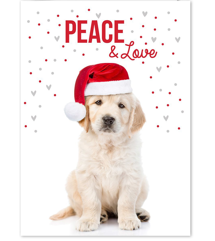 Lab Christmas Pictures at Daryl Pulver blog