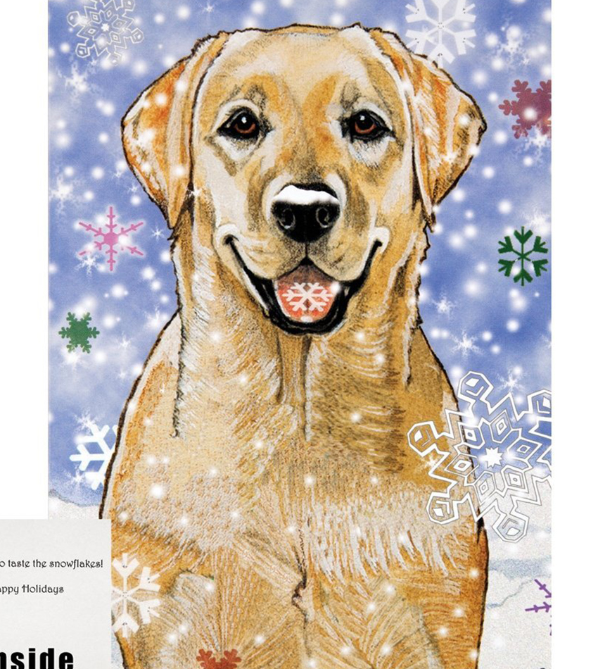 Labrador Christmas