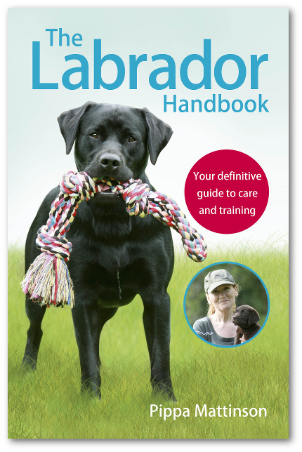 The Labrador Handbook by Pippa Mattinson