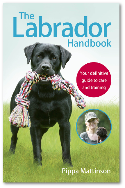 Labrador Příručka Pippa Mattinson