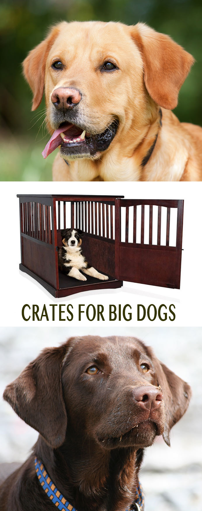 Best Dog Crates and Playpens for Labradors or Large Breeds