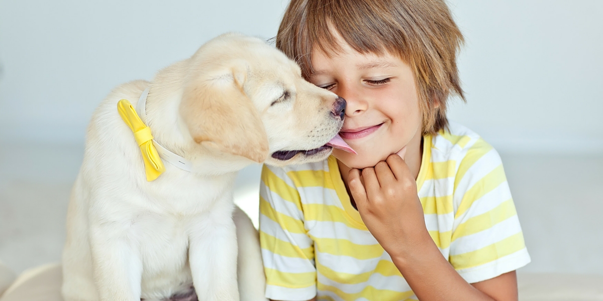 labrador and kids