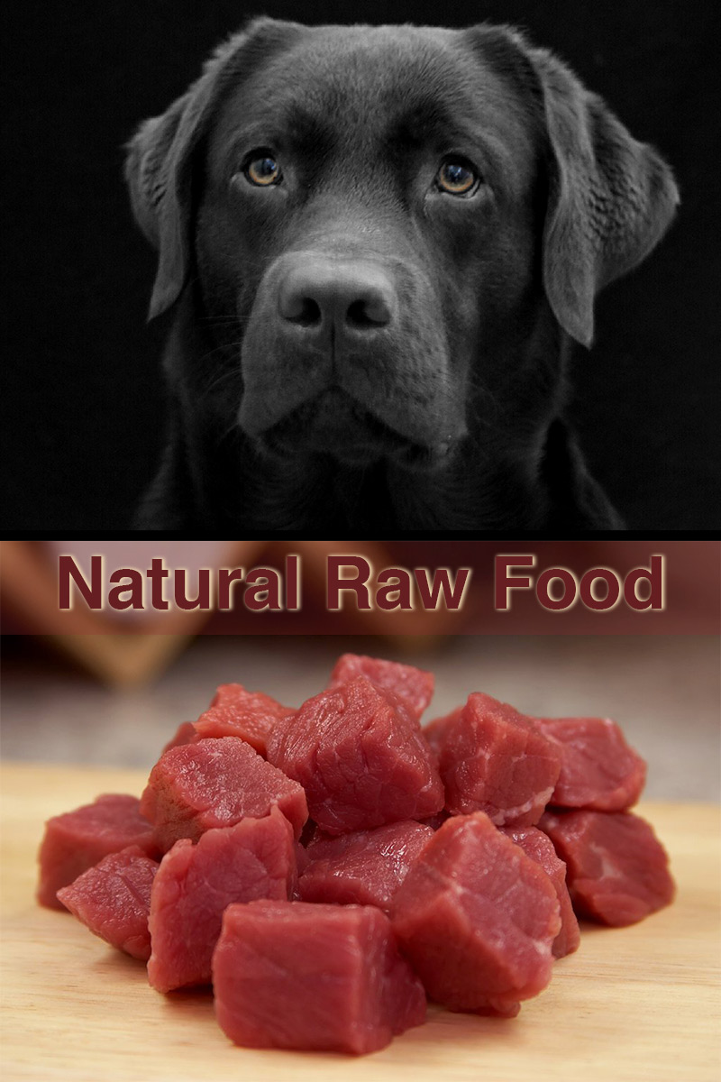 raw dog meat near me