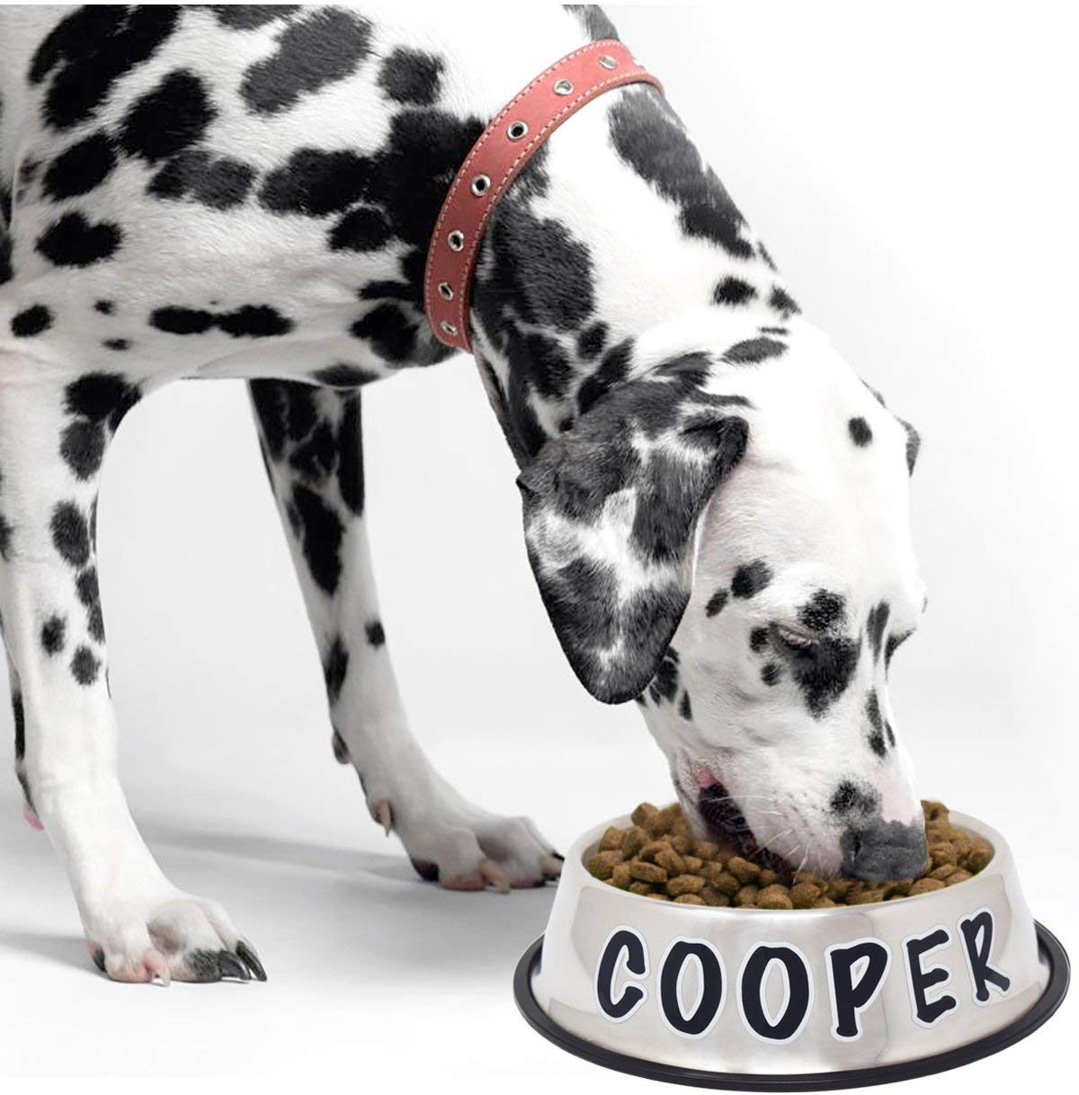 Best Dog Bowls Reviews Of Top Choices And Tips To Help You Choose