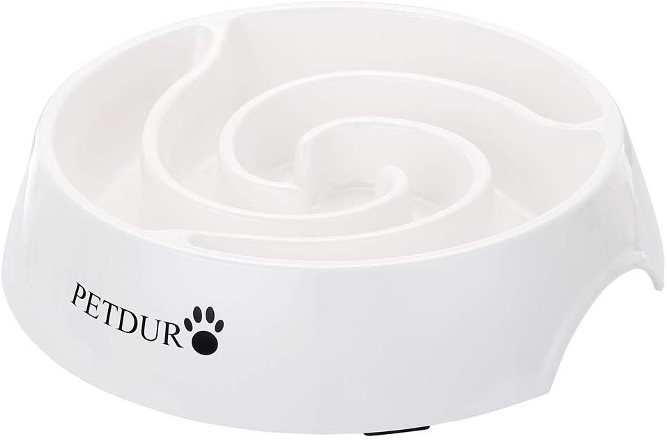 plain white dog bowl