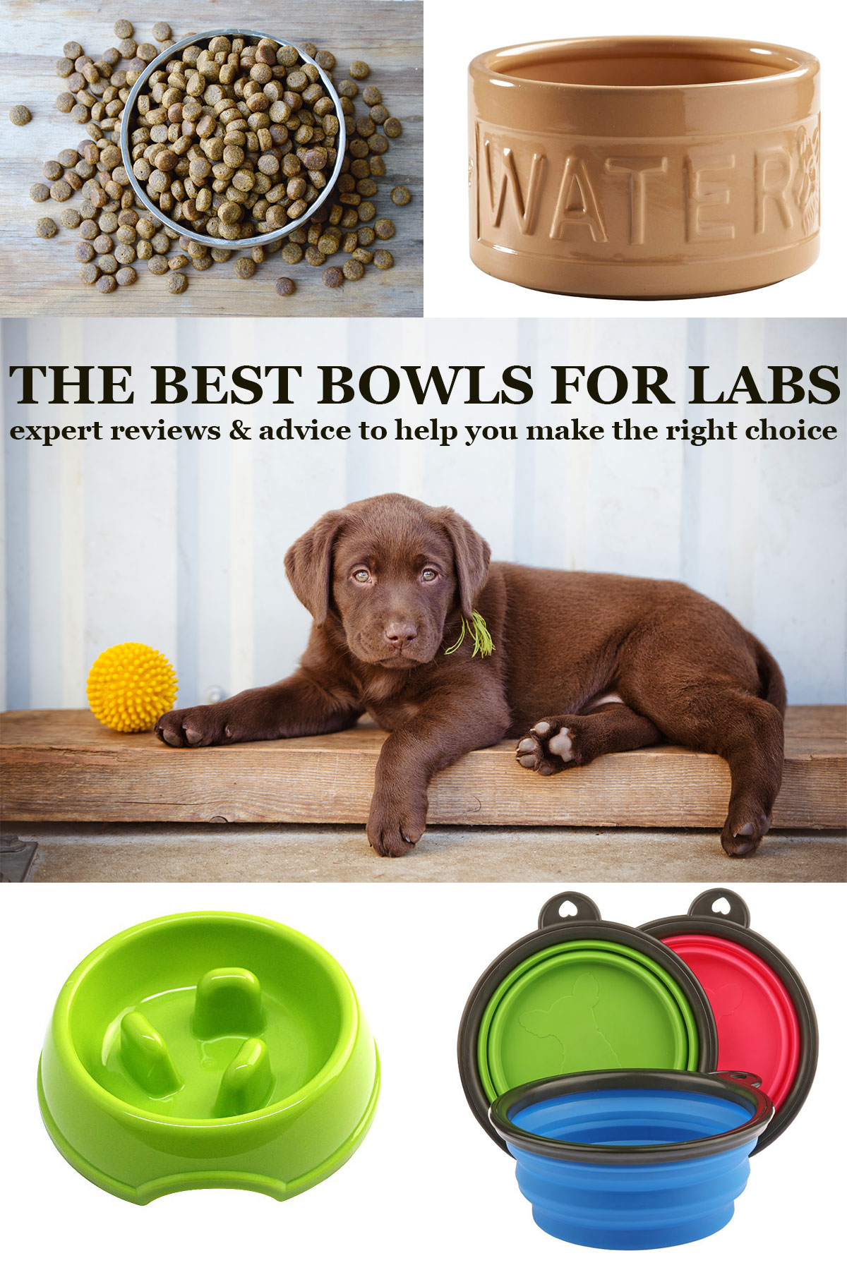 best dog bowls