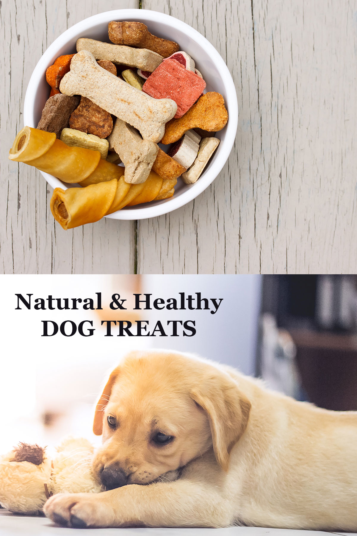 healthy dog treats