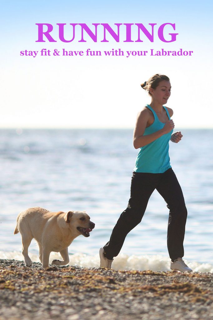 running with a labrador