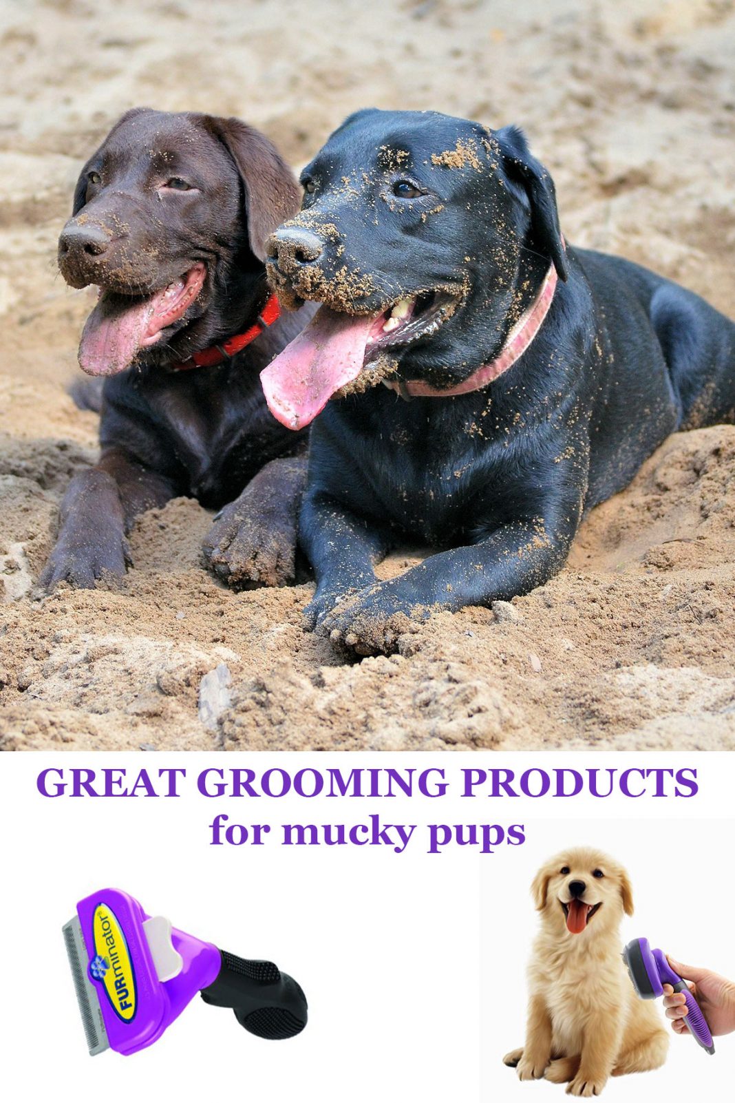 Dog Grooming Supplies For Labradors The Labrador Site