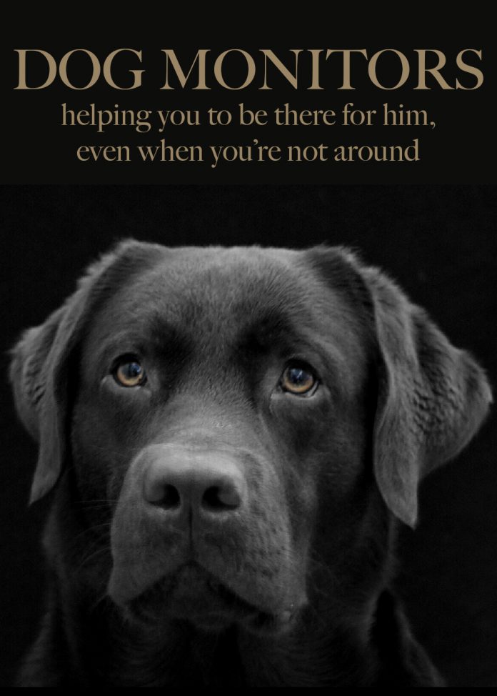 Dog Monitor Review The Best Pet Cameras