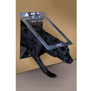 Dog Doors: The Best Dog Flaps For Labs 