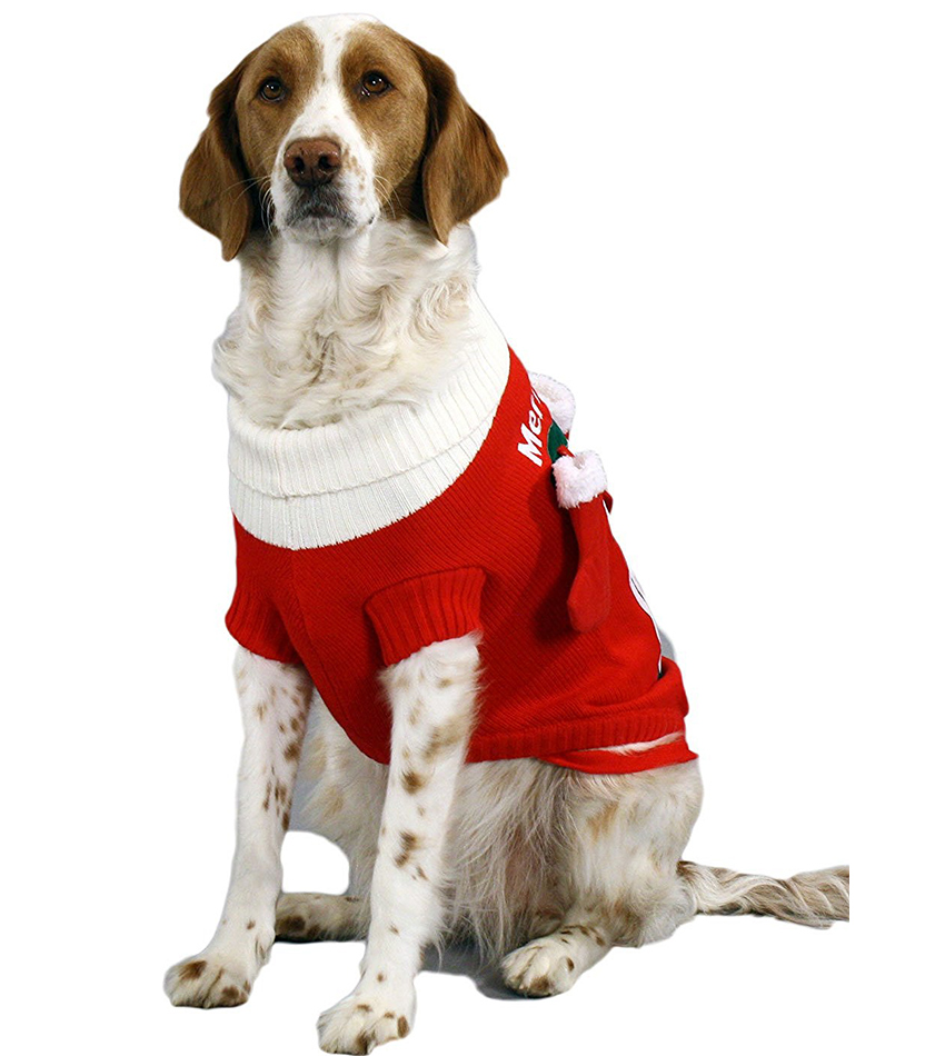 Dog Sweaters For Large Breeds - The Labrador Site