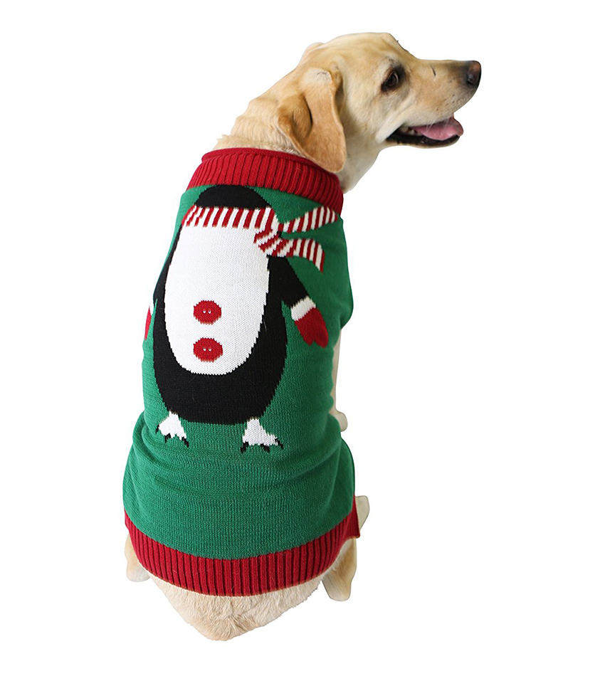 golden retriever xmas jumper