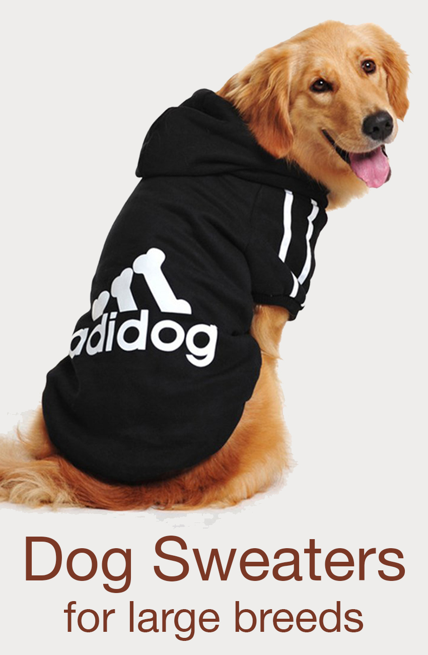 Big dogs like to be cosy too! We review a range of warm and fun sweaters for larger breeds