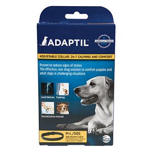 travel sickness tablets for dogs