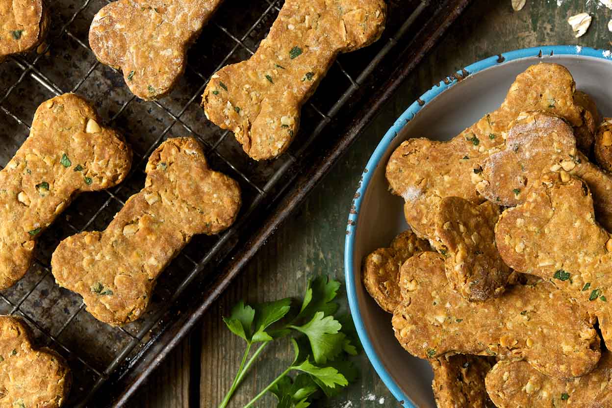 dog biscuit recipe uk
