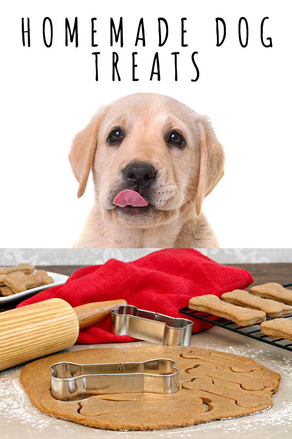 Homemade Dog Treats Easy Recipes You Can Make At Home