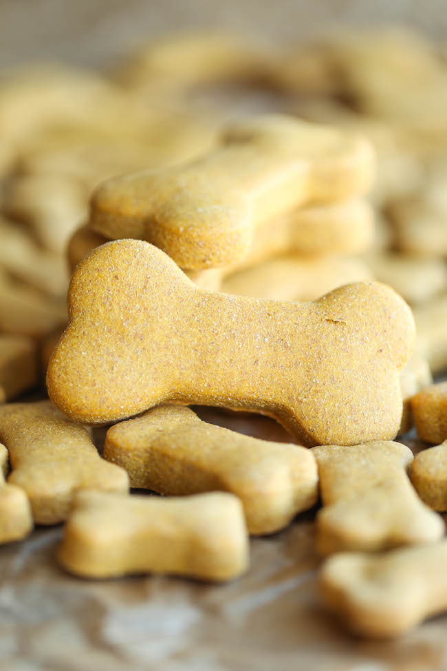Homemade Dog Treats Easy Recipes You Can Make At Home The Labrador Site homemade-dog-treats-easy-recipes-you-can-make-at-home-the-labrador-site