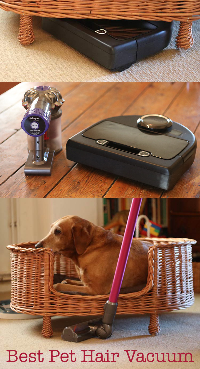 Pippa shares her personal tools and techniques in this best vacuum for pet hair review