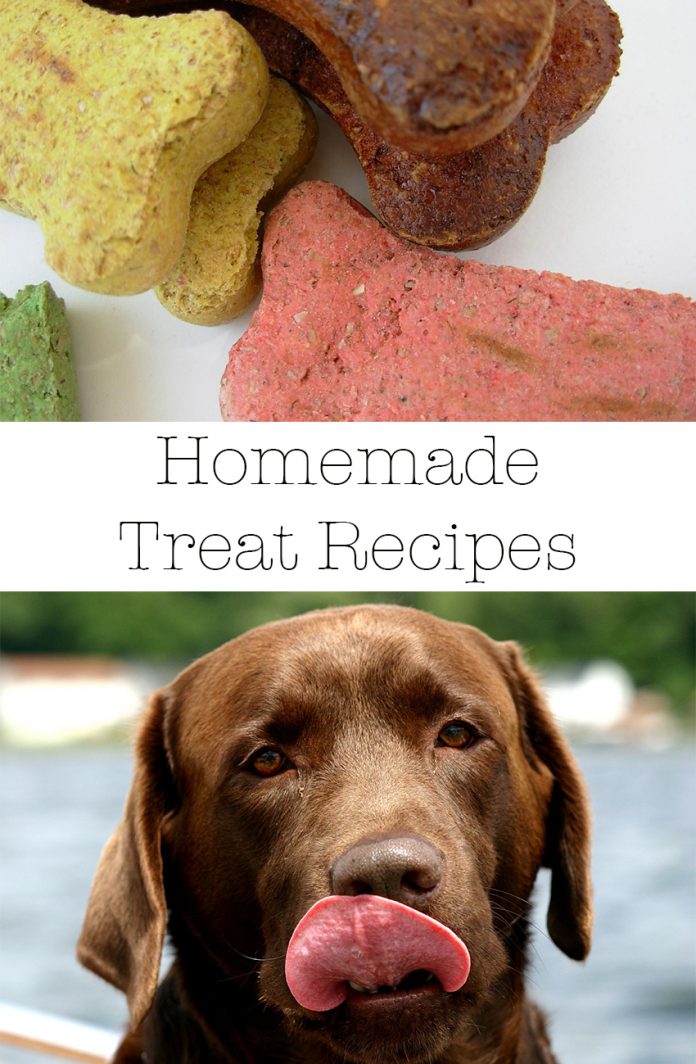 Homemade Dog Treats Easy Recipes You Can Make At Home The Labrador Site
