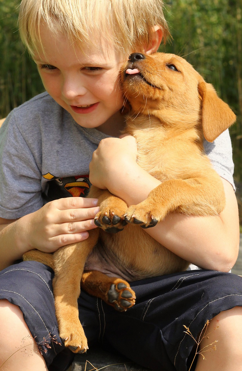 Deafness In Dogs - Everything You Need To Know