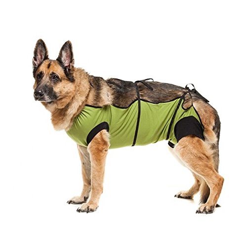 E-Collar Alternative: After Surgery Wear