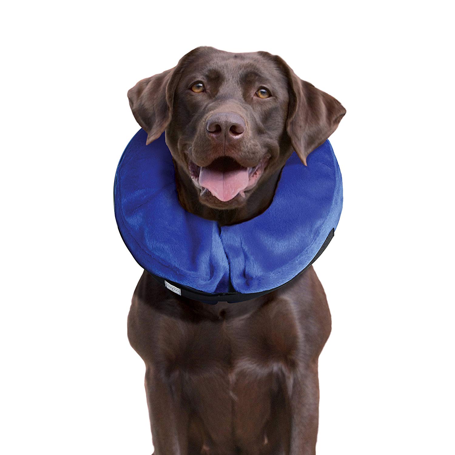 are dog cones safe