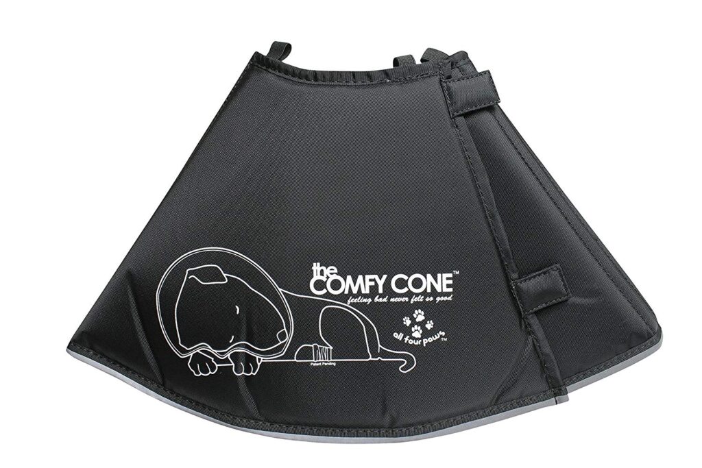 Dog cone when to use one and which one to choose