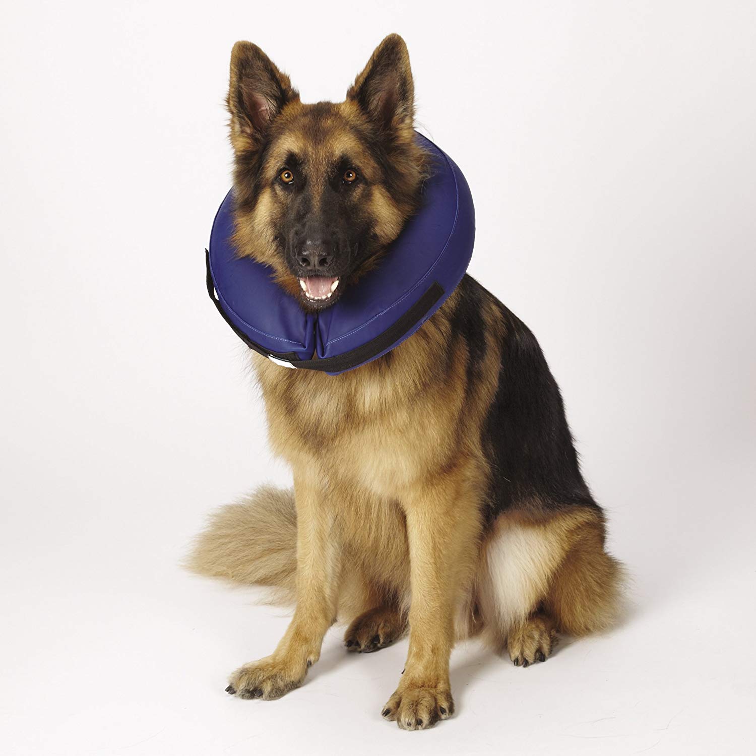 Total Pet Health Inflatable Veterinarian Approved Dog Collar