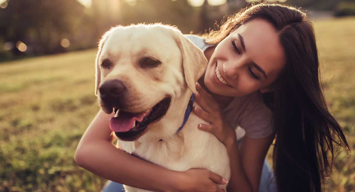 how long are dogs in heat the first time