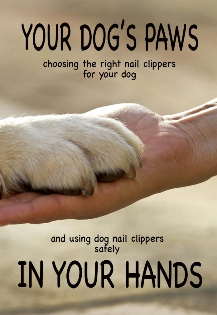 Best Dog Nail Clippers And Grinders Top Choices And How To Use Them
