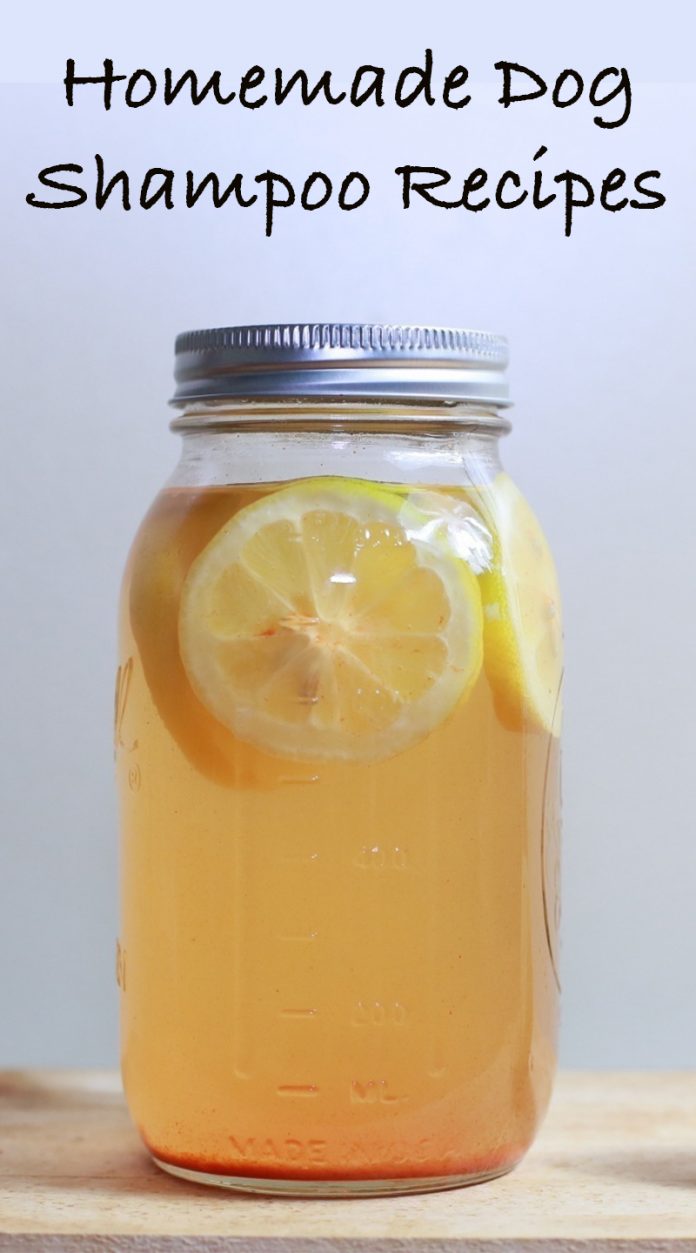 Homemade Dog Shampoo Recipes The Best DIY Shampoo For Dogs