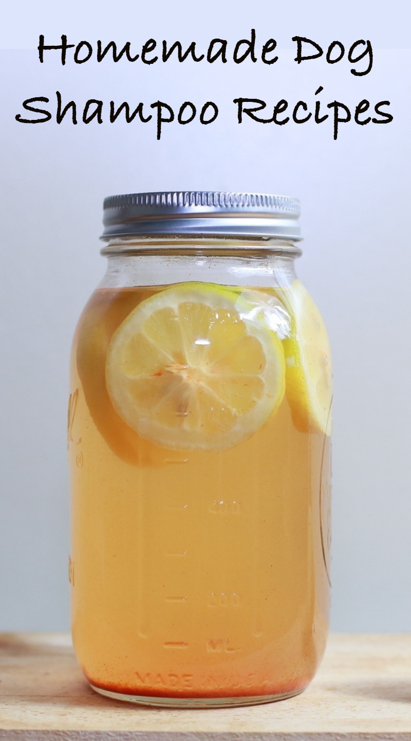 Homemade Dog Shampoo Recipes The Best DIY Shampoo For Dogs