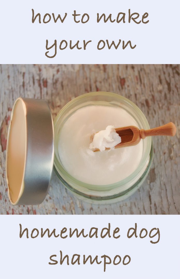 Homemade Dog Shampoo Recipes The Best DIY Shampoo For Dogs